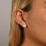 Cased round pearl studs (8mm)