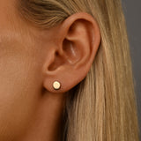 Polished Plate Studs