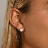 Cased Czelline Opal Round Studs
